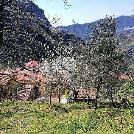 Il Metato Di Gallena Bed & Breakfast Stazzema Luaran gambar