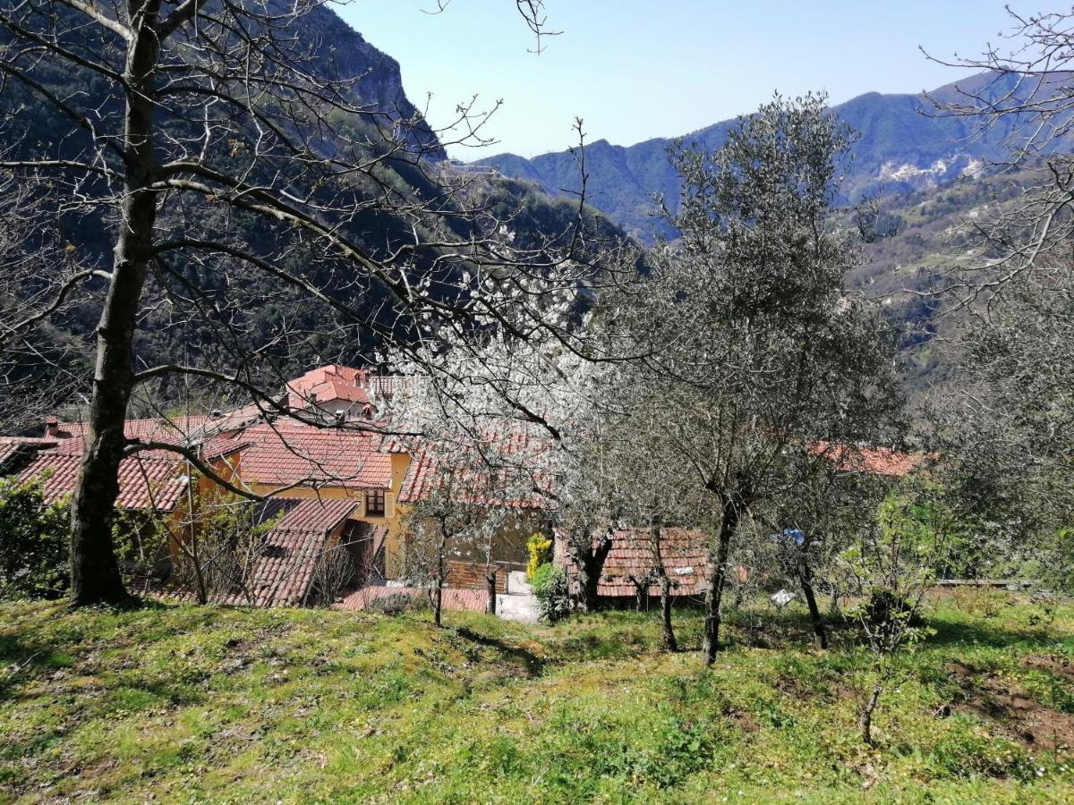 Il Metato Di Gallena Bed & Breakfast Stazzema Luaran gambar