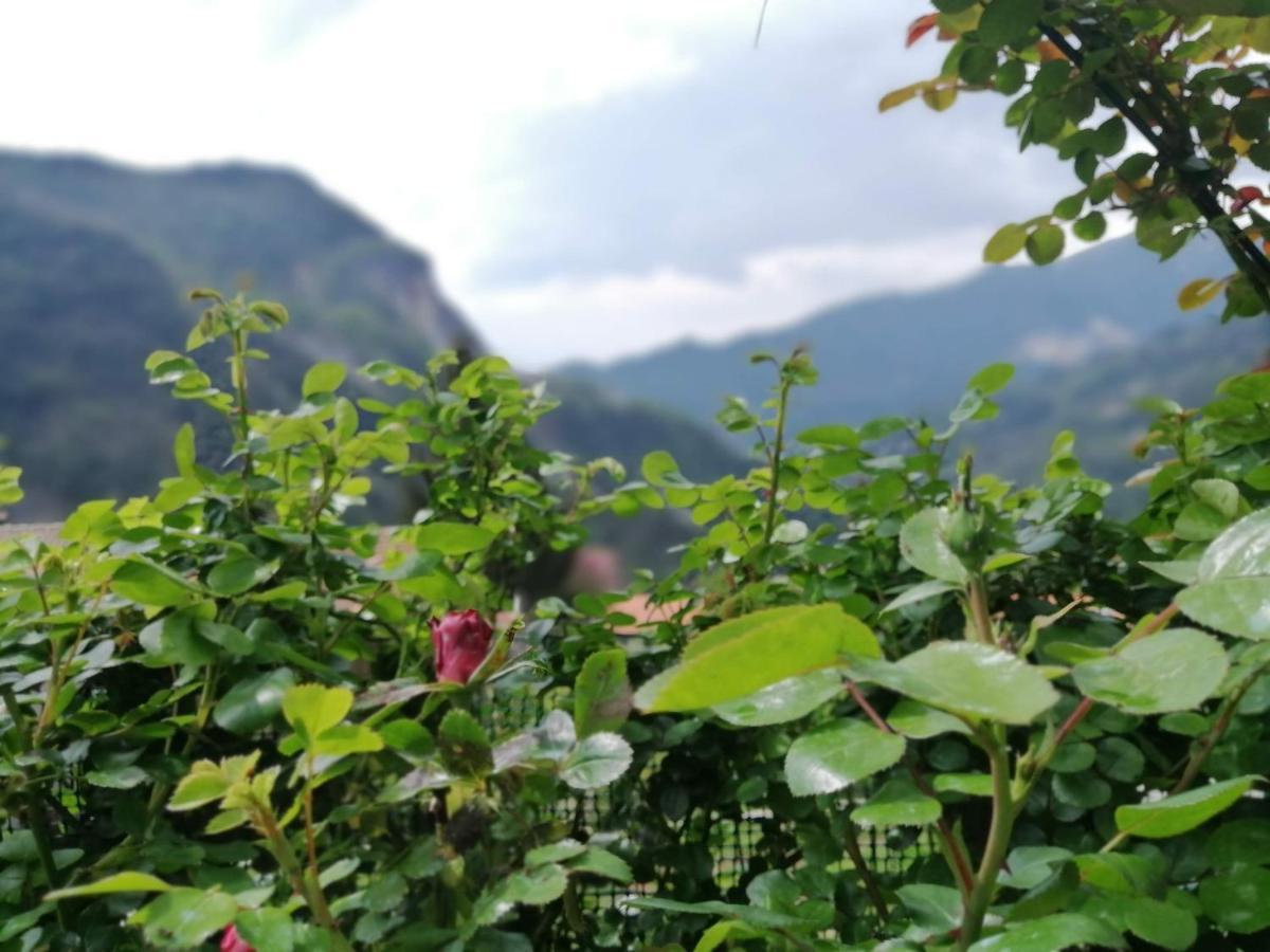 Il Metato Di Gallena Bed & Breakfast Stazzema Luaran gambar