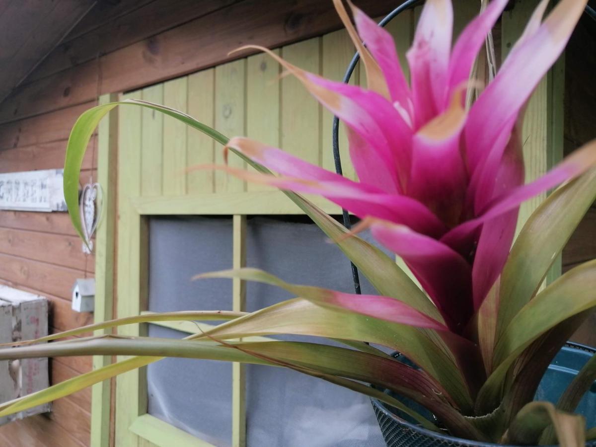 Il Metato Di Gallena Bed & Breakfast Stazzema Luaran gambar