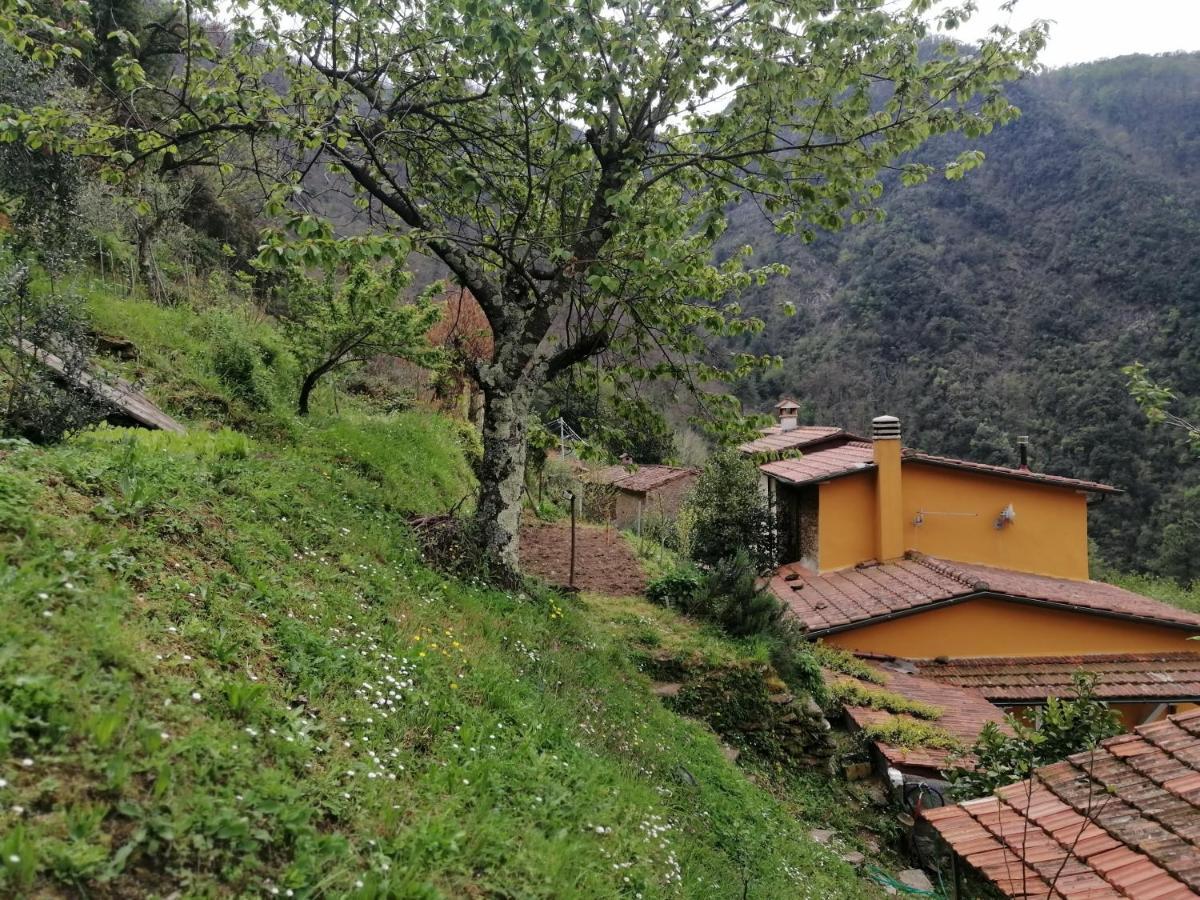 Il Metato Di Gallena Bed & Breakfast Stazzema Luaran gambar