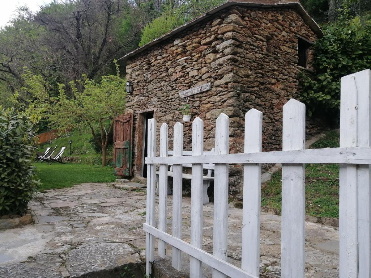 Il Metato Di Gallena Bed & Breakfast Stazzema Luaran gambar