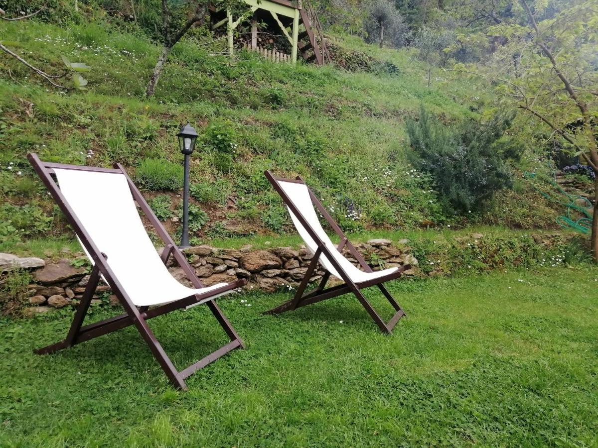 Il Metato Di Gallena Bed & Breakfast Stazzema Luaran gambar