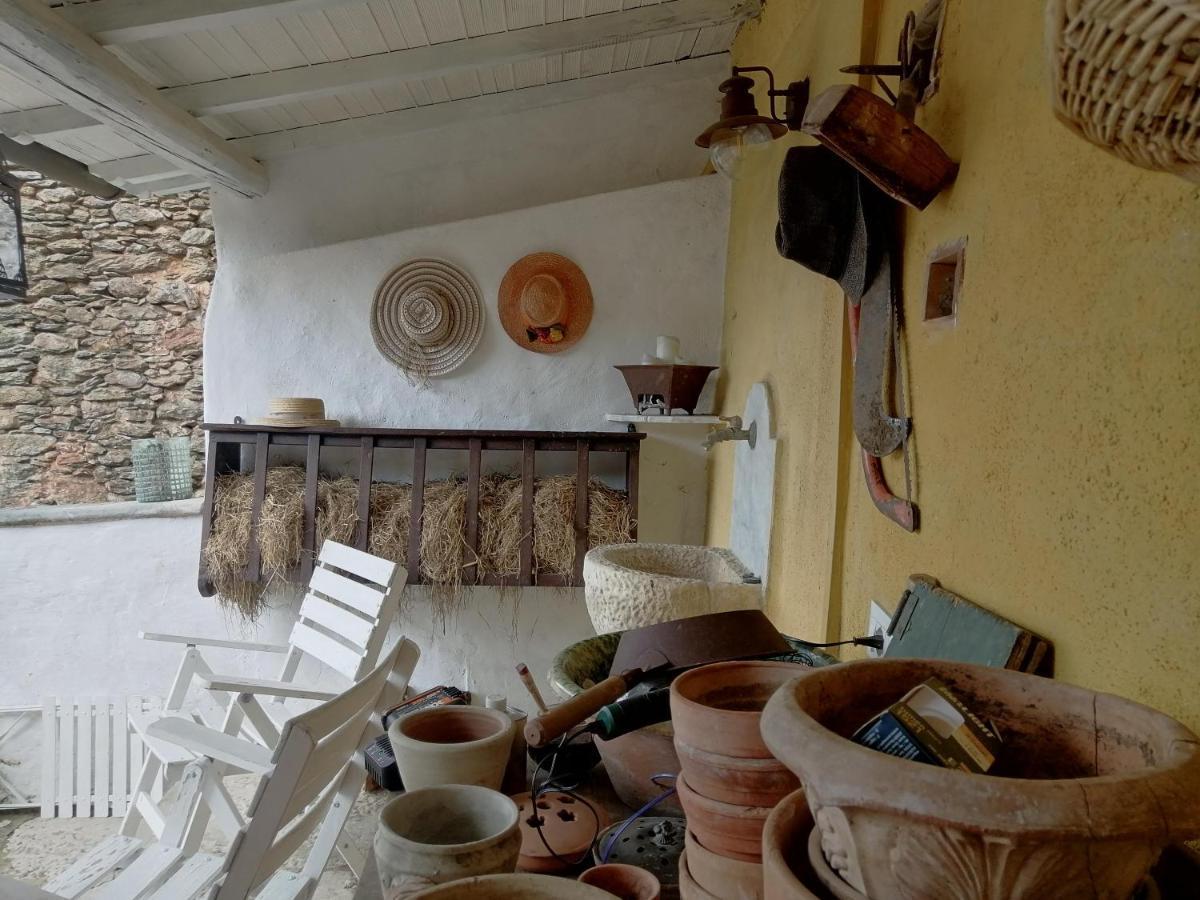 Il Metato Di Gallena Bed & Breakfast Stazzema Luaran gambar